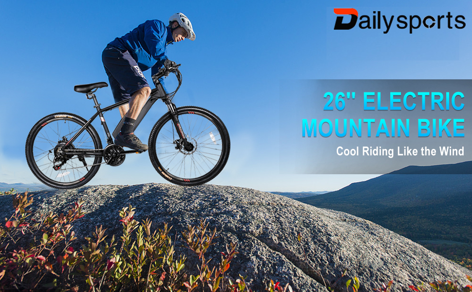 dailysports electric bike