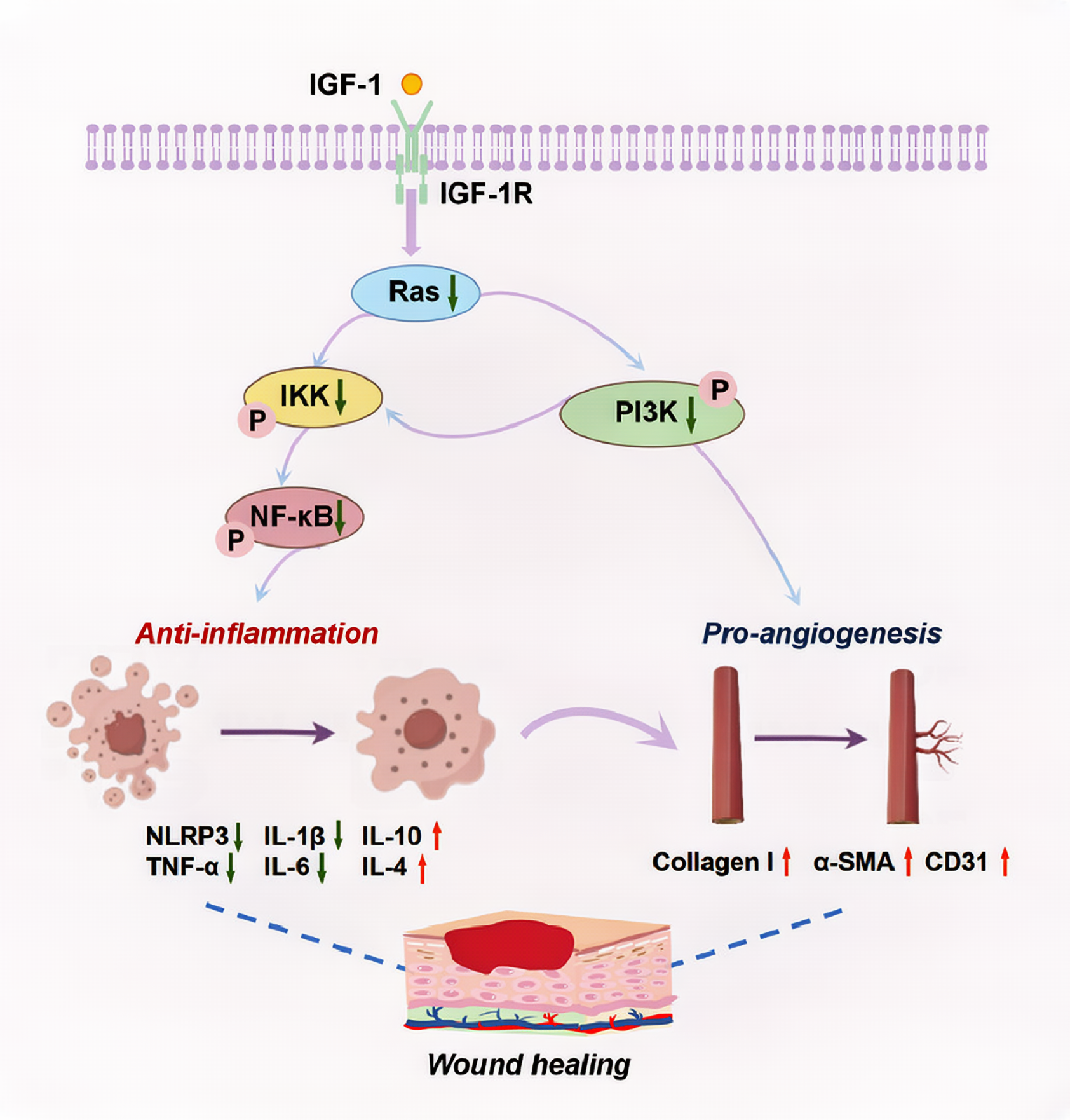 屏幕截图 2025-08-27 125609