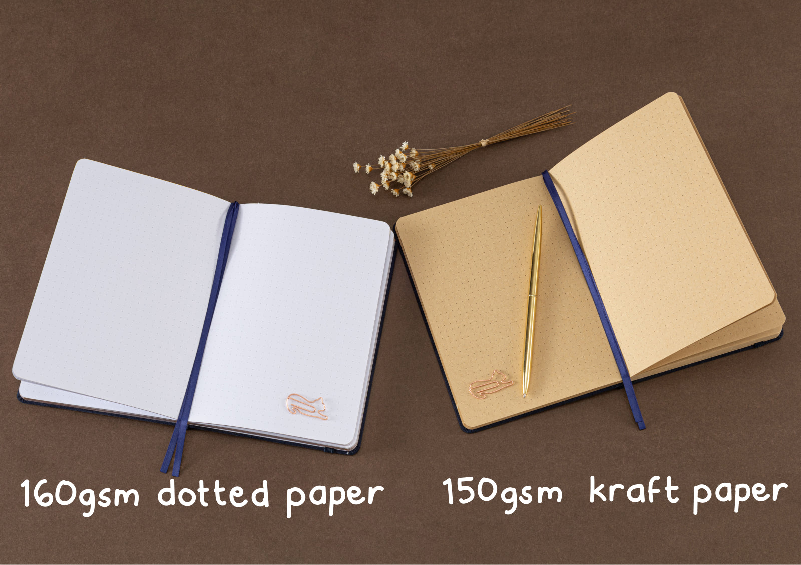 Hands holding Tsuki Neko Dreams Midnight Neko Notebook showing navy velvet cover with gold cat design.