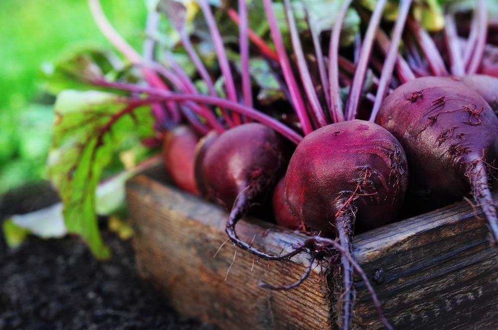 What are the Health Benefits of Beetroot?
