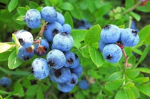 ������涔��绘���芥�存�虹��������绉�妞�涓�绠＄���规���娉ㄦ��浜�椤�(��)_�卞��缃�