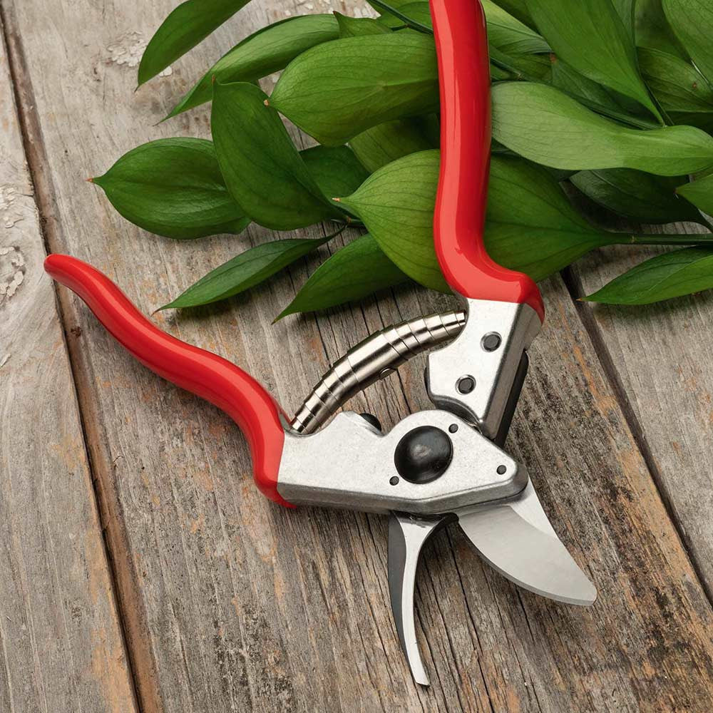 Everyday Go‑To Pruners