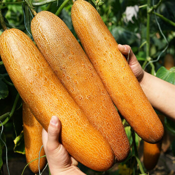 ��榛���绉�瀛�浠锋�兼�ヤ环琛���- 浜�涓�