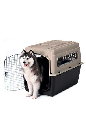 outdoor dog kennel. xl dog kennel. dog kennels and crates for medium dogs.large dog kennel.