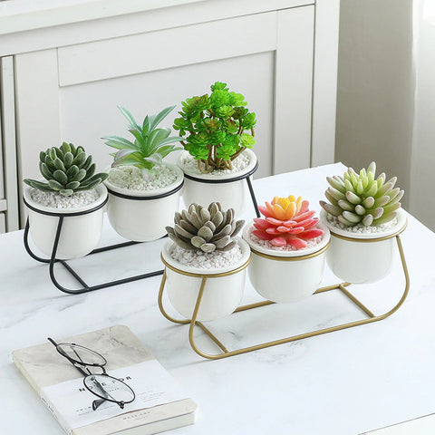 White Ceramic Succulent Planter Trio