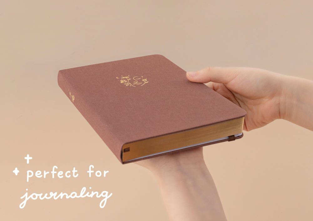 Dried Flower Collection Photo