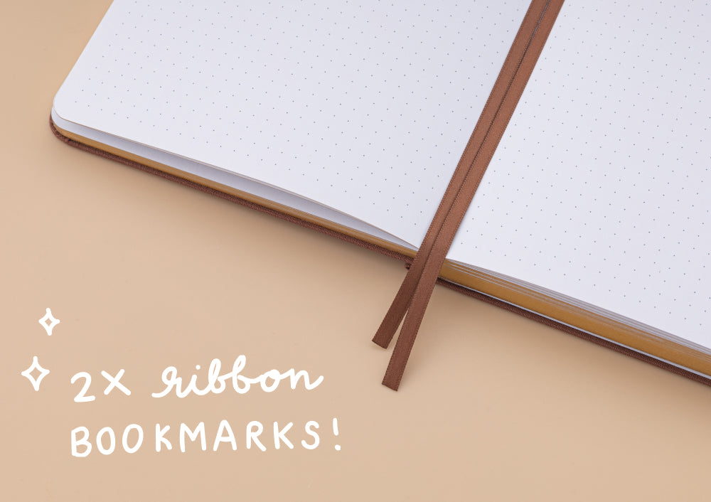 Dried Flower Collection Photo