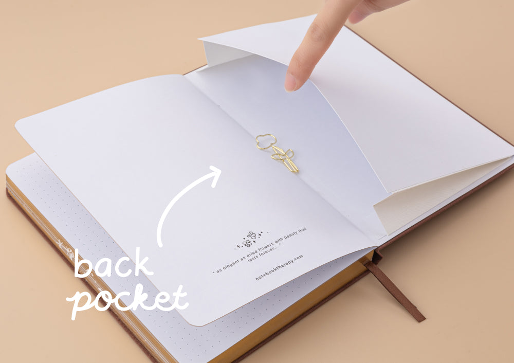 Dried Flower Collection Photo