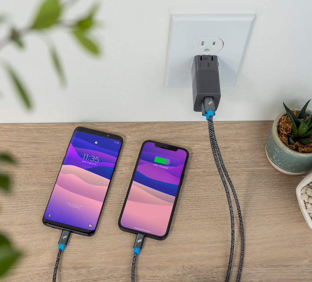 Two smartphones charging with a wall charger, next to a potted plant.
