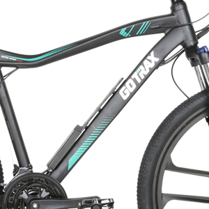 lightweight electric bike