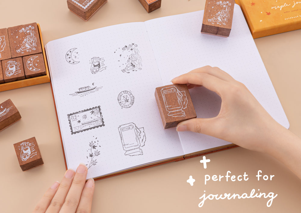 Sweet Ballet Collection Photo