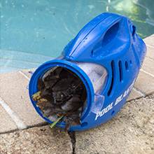 Pool Blaster Max Li debris chamber with a lot of debris inside