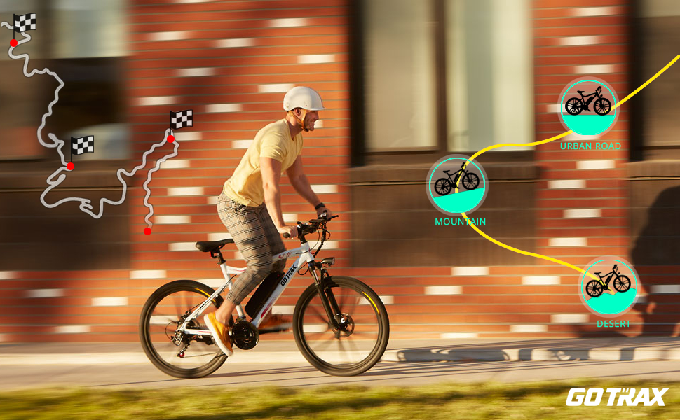 Gotrax Electric Bike