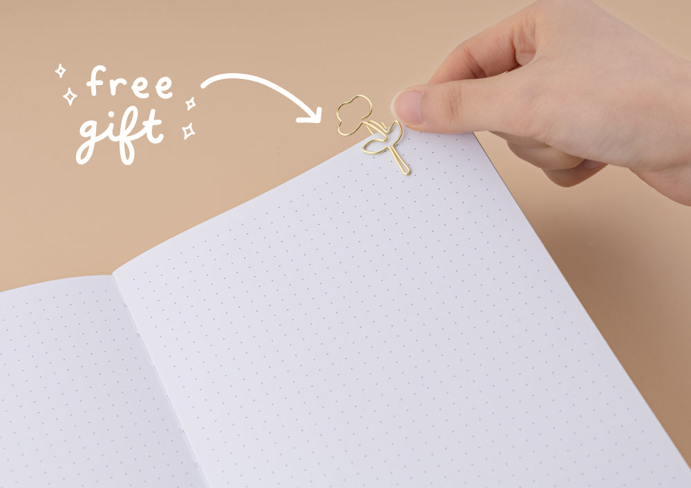 Dried Flower Collection Photo