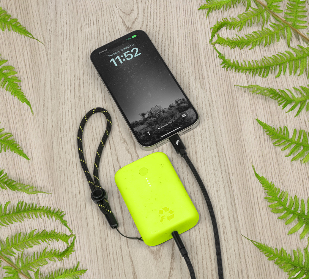 Power bank charging a phone, surrounded by green ferns.